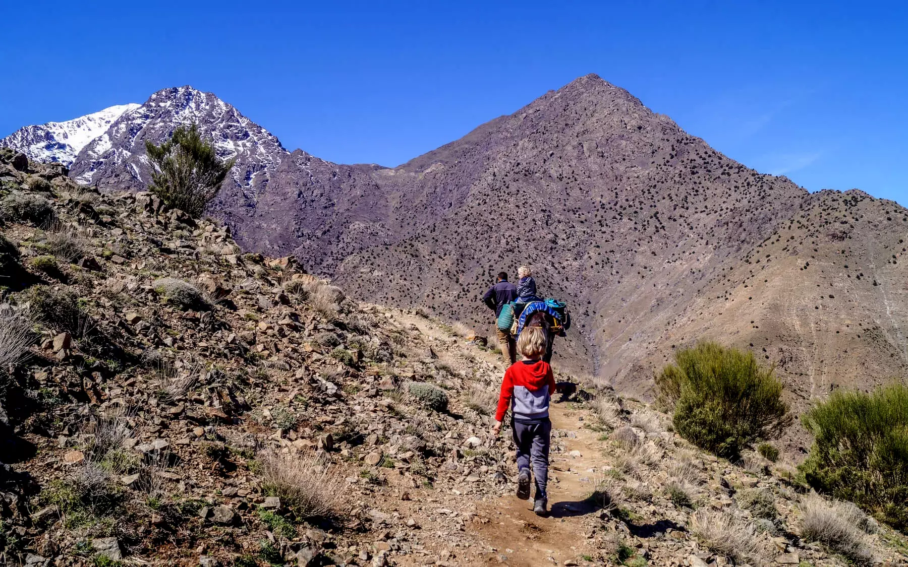 Reservation Atlas Toubkal Trekking - Toubkal Trek Viator Booking